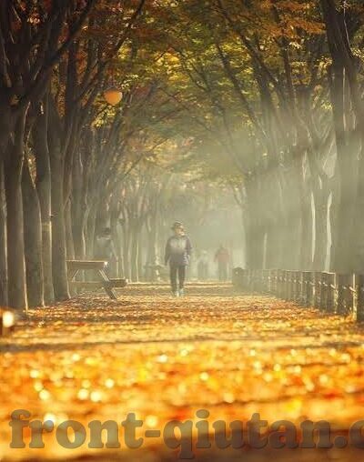 北京足球比分单场-北京足球单场比分，激情与荣耀的瞬间记录